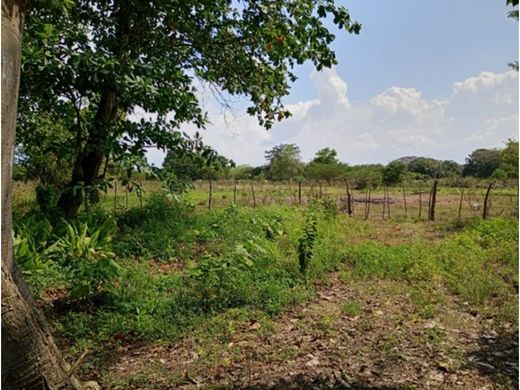 Land in Cartagena, Cartagena de Indias