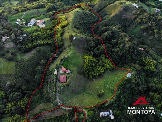 Quinta rústica - Filandia, Quindío Department