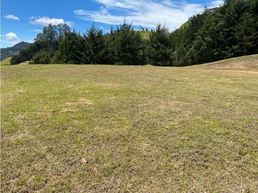 Land in Rionegro, Departamento de Antioquia