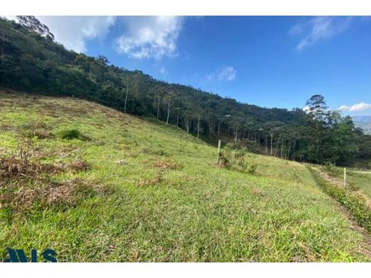 Terreno - Rionegro, Departamento de Antioquia