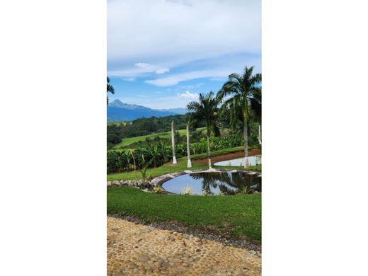 أرض ﻓﻲ Tarso, Departamento de Antioquia