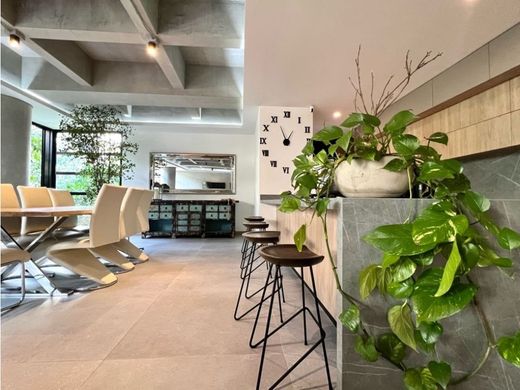 ﺷﻘﺔ ﻓﻲ ميديلين, Medellín