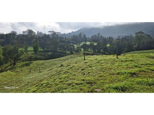 Land in Rionegro, Departamento de Antioquia