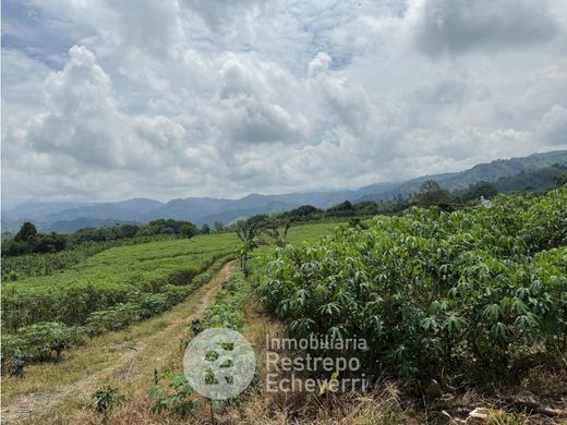 ‏קרקע ב  Manizales, Departamento de Caldas