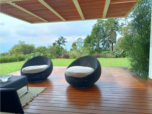 호화 저택 / 메데인, Medellín