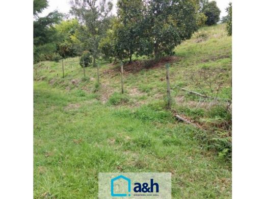 Land in Rionegro, Departamento de Antioquia