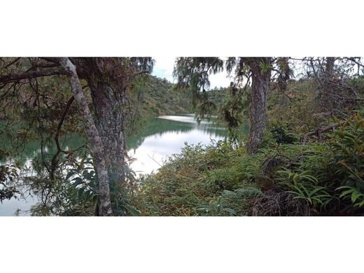 Land for sale in Guatapé