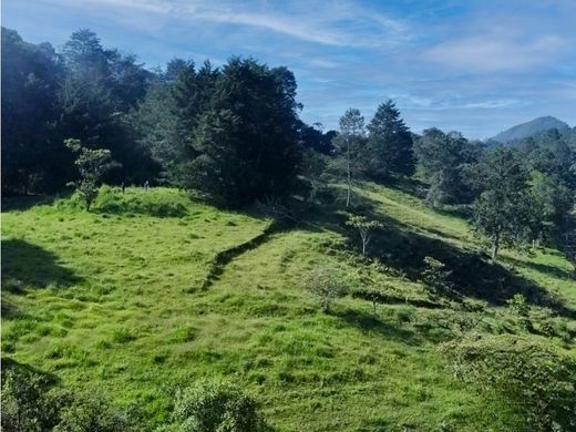 Terreno - Rionegro, Departamento de Antioquia