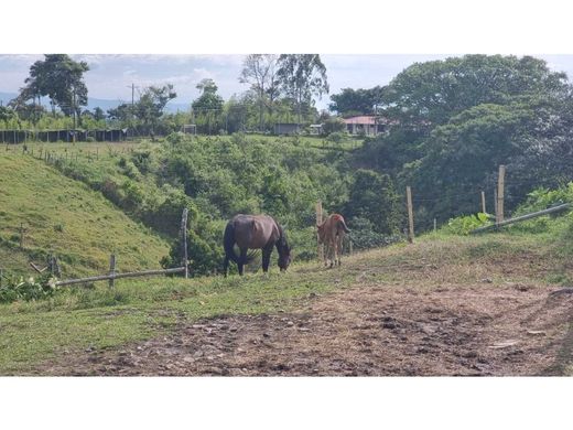 ‏קרקע ב  Armenia, Quindío Department