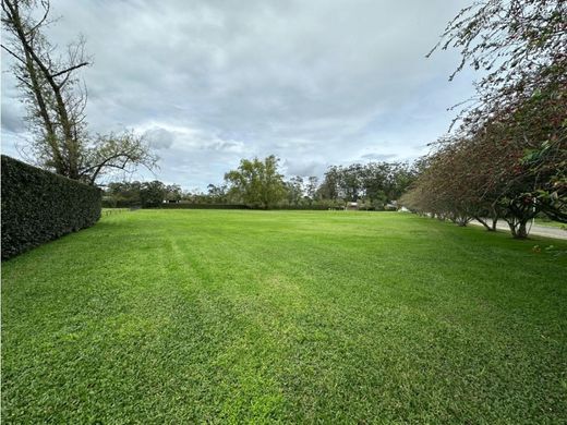 ‏קרקע ב  Rionegro, Departamento de Antioquia