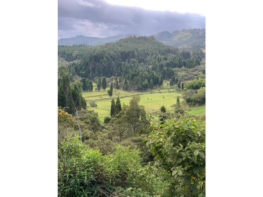 Terrain à Guarne, Departamento de Antioquia