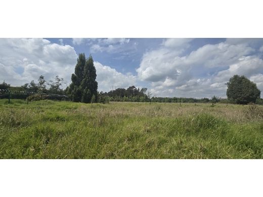 토지 / Cota, Departamento de Cundinamarca