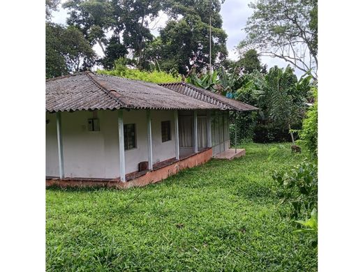 Rustykalny lub Wiejski w Armenia, Quindío Department