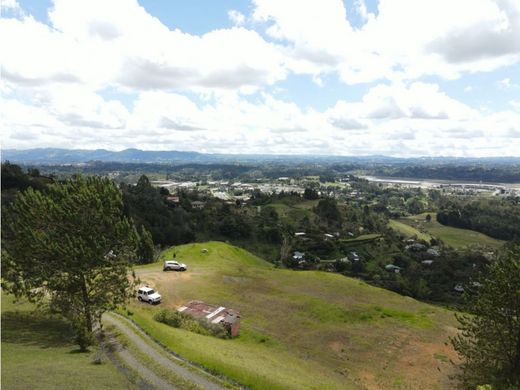 Daire Rionegro, Departamento de Antioquia