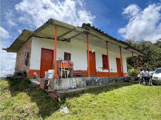 Terreno a Santuario, El Santuario