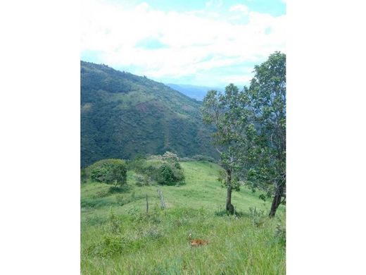 Terreno en Sopetrán, Liborina