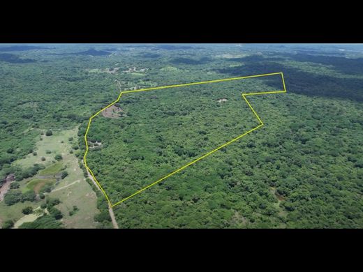 토지 / Cartagena, Cartagena de Indias