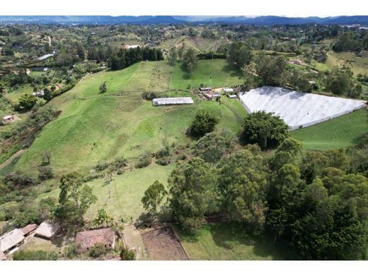 Ferme à Rionegro, Departamento de Antioquia