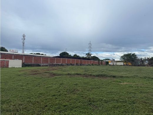 Αγροτεμάχιο σε Palermo, Departamento del Huila