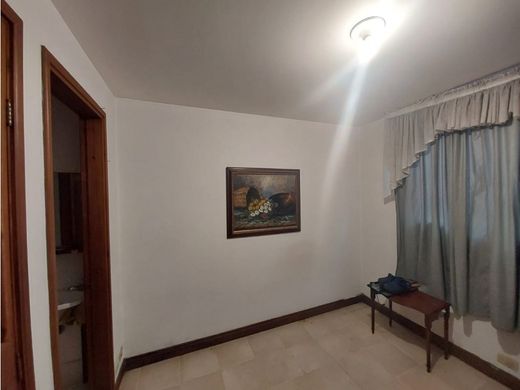 호화 저택 / 메데인, Medellín