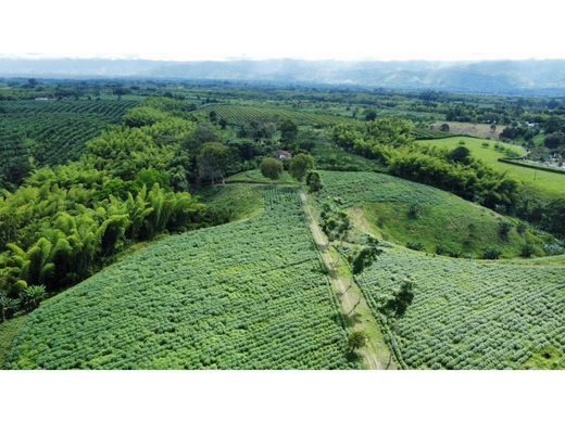 Rustik ya da çiftlik Armenia, Quindío Department