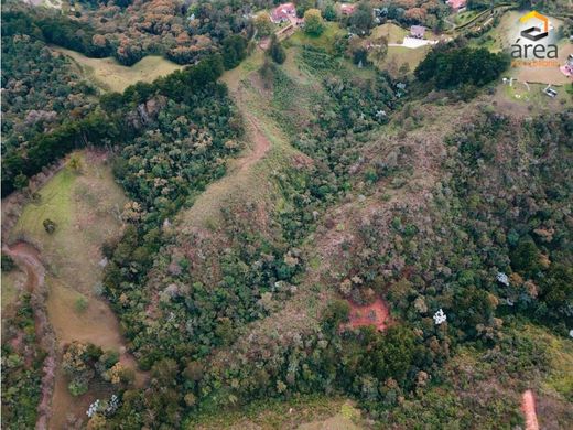 Terreno a Rionegro, Departamento de Antioquia