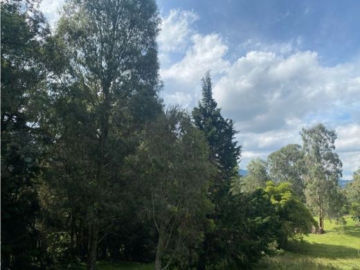 أرض ﻓﻲ Rionegro, Departamento de Antioquia