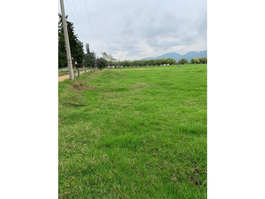 Teren w Tenjo, Departamento de Cundinamarca