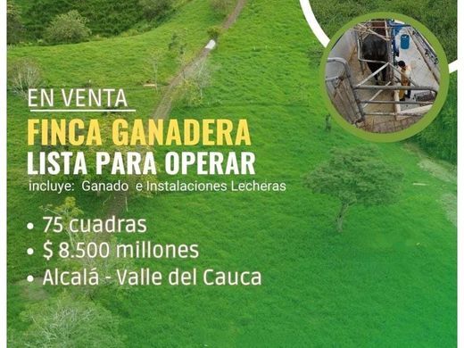 Rustik ya da çiftlik Alcalá, Departamento del Valle del Cauca