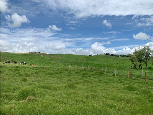 Teren w La Unión, Departamento de Antioquia