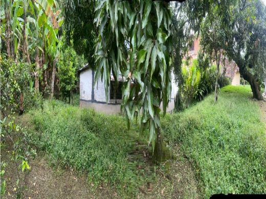 メデリン, Medellínの土地