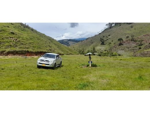 Rustykalny lub Wiejski w Ciudad Bolívar, Departamento de Antioquia