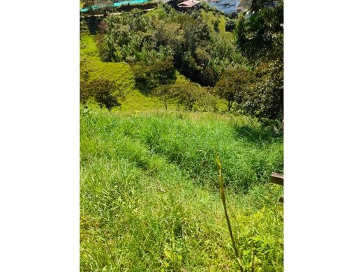 地皮  Sabaneta, La Estrella