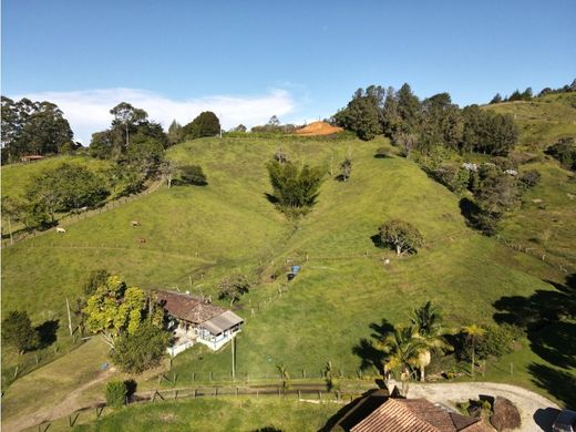Terreno a Rionegro, Departamento de Antioquia