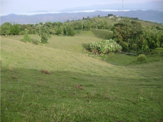 Land in Guadalajara de Buga, Departamento del Valle del Cauca