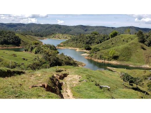 Land in El Peñol, Yarumal