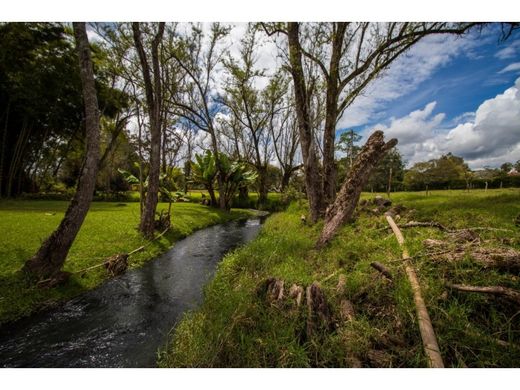 Land in Rionegro, Departamento de Antioquia