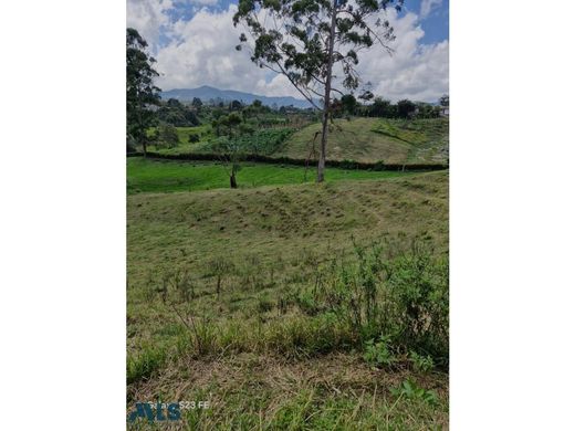 Terreno en El Bagre, Departamento de Antioquia