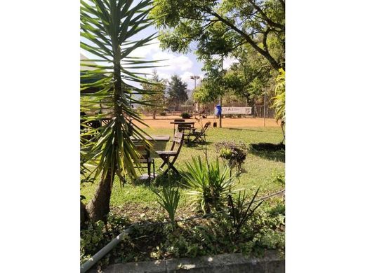 Αγροτεμάχιο σε Rionegro, Departamento de Antioquia