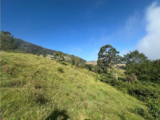 토지 / La Ceja, Departamento de Antioquia