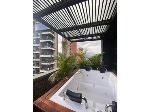 Daire Medellín, Departamento de Antioquia