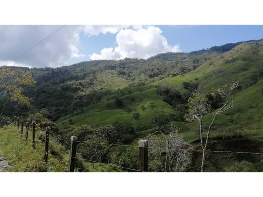 Ferme à Alejandría, Departamento de Antioquia