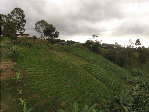 Farmhouse in Pereira, Departamento de Risaralda