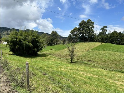 ﻣﻨﺰﻝ ﺭﻳﻔﻲ/ ﺑﻴﺖ ﻤﺰﺭﻋﺔ ﻓﻲ Abejorral, Departamento de Antioquia