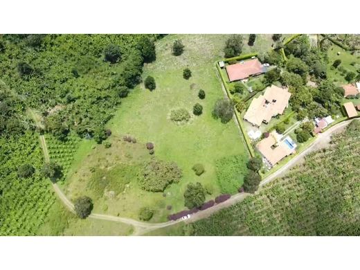 토지 / Montenegro, Quindío Department