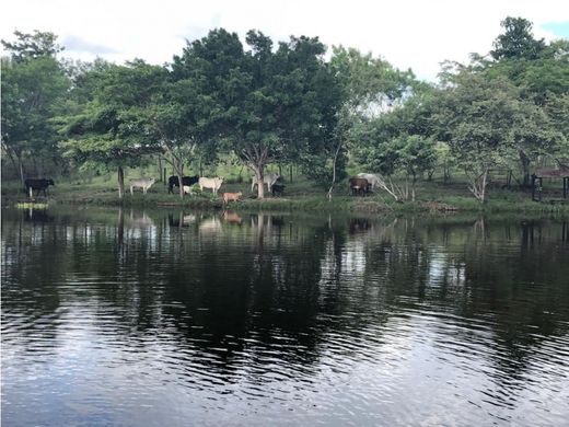 Ρουστίκ ή αγροικία σε Alvarado, Departamento de Tolima