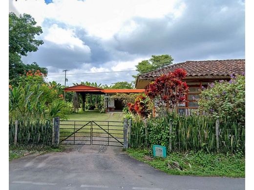 전원/농가 / Montenegro, Quindío Department
