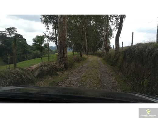 Farmhouse in Circasia, Quindío Department