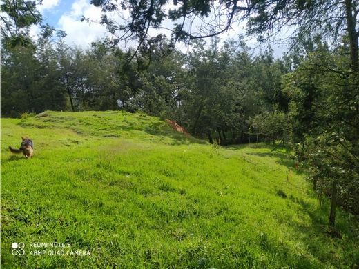 Terreno a Santa Rosa de Osos, Departamento de Antioquia