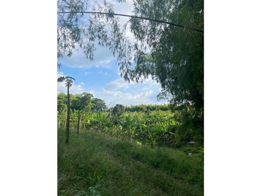 Rustik ya da çiftlik Armenia, Quindío Department